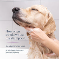 Thumbnail for Veterinary Formula Clinical Care Antiparasitic & Antiseborrheic Medicated Dog Shampoo, 16 oz – Paraben, Dye, Soap Free – Hydrating and Antifungal Shampoo for Dogs, White