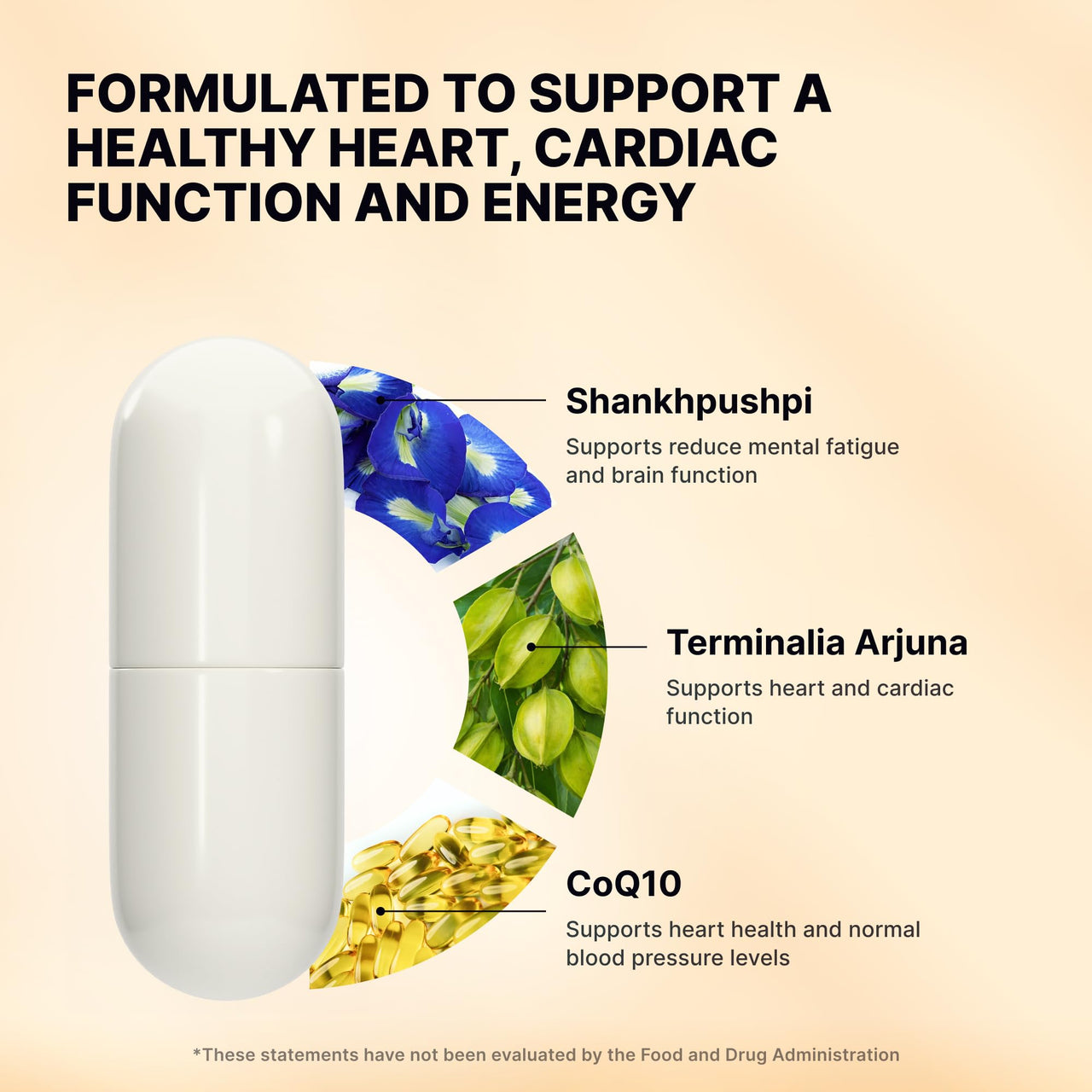 Nature's Pure Blend CoQ10 Plus – Antioxidant Formula with Arjuna & Shankhpushpi – CoQ10 Ubiquinol for Circulation, Blood Flow & Energy – Coenzyme Q10 Supplement for Immune System – 60 Capsules
