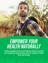 Thumbnail for BulkSupplements.com Cnidium Fruit Extract Powder - Cnidium Monnieri Extract, Vasodilator Supplement - Gluten Free, 1g per Serving, 1kg (2.2 lbs) (Pack of 1)