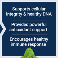 Thumbnail for Life Extension X-R Shield, spirulina, Lemon Balm, Ginkgo biloba, Supports Cellular Integrity & DNA Health, Encourages Healthy Immune Response, Gluten-Free, Non-GMO, Vegetarian, 90 Capsules