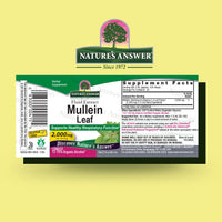 Thumbnail for Nature's Answer Mullein Leaf Fluid Extract, 2 fl oz (60 ml)
