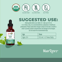 Thumbnail for MaryRuth Organics Ginkgo Leaf Liquid Drops | Herbal Supplement | Nootropic | Circulatory System & Nervous System Health | USDA Organic | Non-GMO | Vegan | 60 Servings