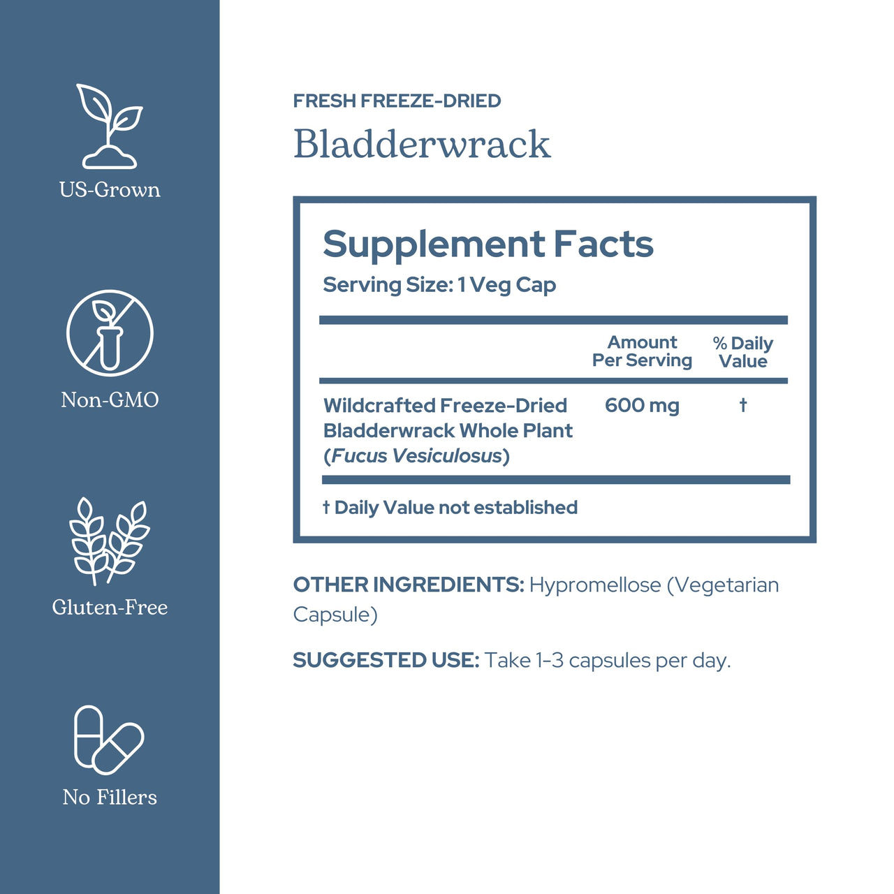 Eclectic Herb - Premium Freeze-Dried Bladderwrack Capsules | Endocrine System Support | Healthy Skin and Hair | Seaweed Supplement | Wildcrafted, Hand-Harvested, Non-GMO, Vegan (90 CT | 600 mg)