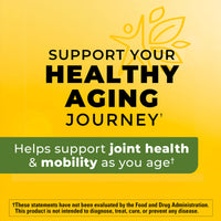 Thumbnail for Nature Made High Absorption Turmeric Curcumin Supplement Capsules, Turmeric Supplement, Muscle and Joint Support, 30 Capsules, 30 Day Supply