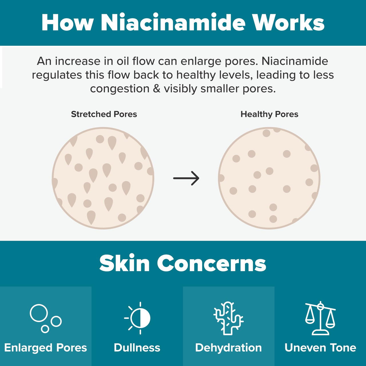 Paula's Choice Skin Balancing Pore-Reducing Face Toner with Niacinamide, for Oily Skin & Combination, Minimizes Large Pores, Controls Oil & Shine, Hydrates & Replenishes, Fragrance-Free, 6.4oz