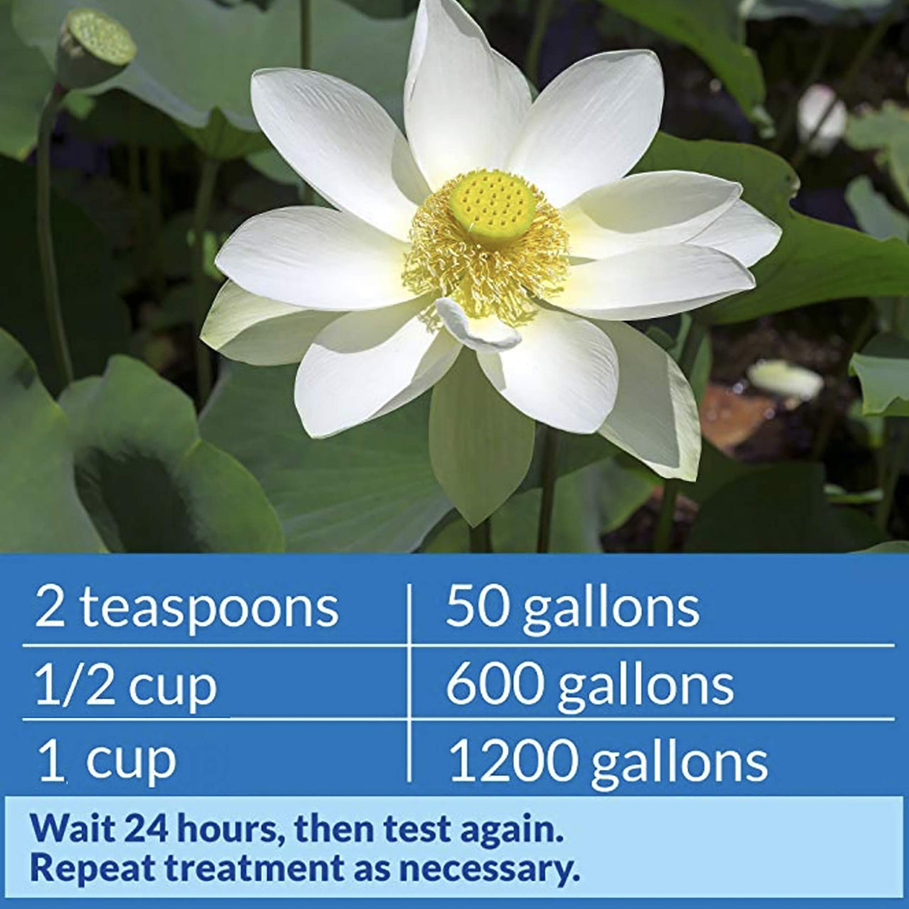 API POND pH UP Pond Water pH Raising Solution 16-Ounce Bottle