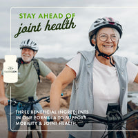 Thumbnail for Swanson Glucosamine, Chondroitin & MSM - Cartilage & Joint Health Supplement* - Supports Mobility & Flexibility* - Easy-to-Swallow Mini Tablets - Gluten Free & Non-GMO - 360 Mini-Tablets