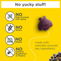 Thumbnail for Zarbee’s Kids Elderberry Immune Support Supplement Gummies, Vitamins A C D3 E & Zinc, Elderberry Extract, Gluten & Gelatin Free, No Artificial Flavors, Natural Berry Flavor, Ages 2+, 42 Ct
