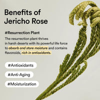 Thumbnail for Abib Jericho Rose Cream 75ml - Hypoallergenic, Anti-Aging Moisturizer for Dry Skin