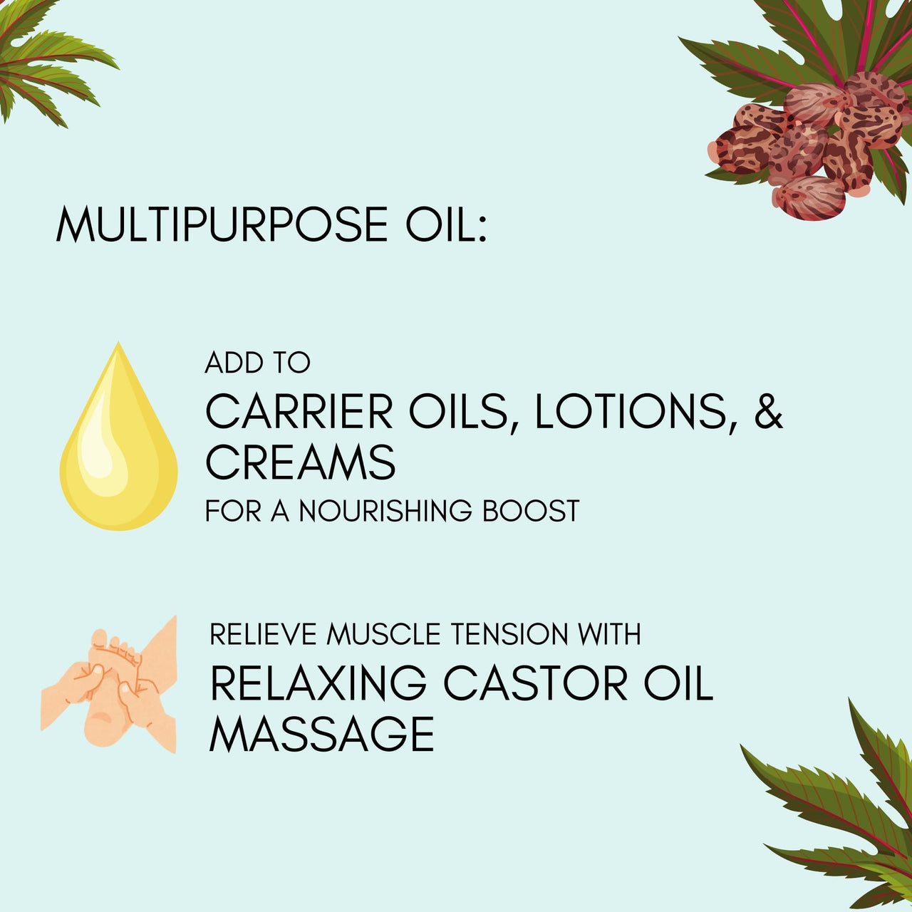 HERBION Naturals Organic Castor Oil USDA Certified, 100% Pure, Cold Pressed, Hexane-Free. Moisturizer & Hair Treatment. Glass Bottle w/Dropper, 3.38 Fl Oz