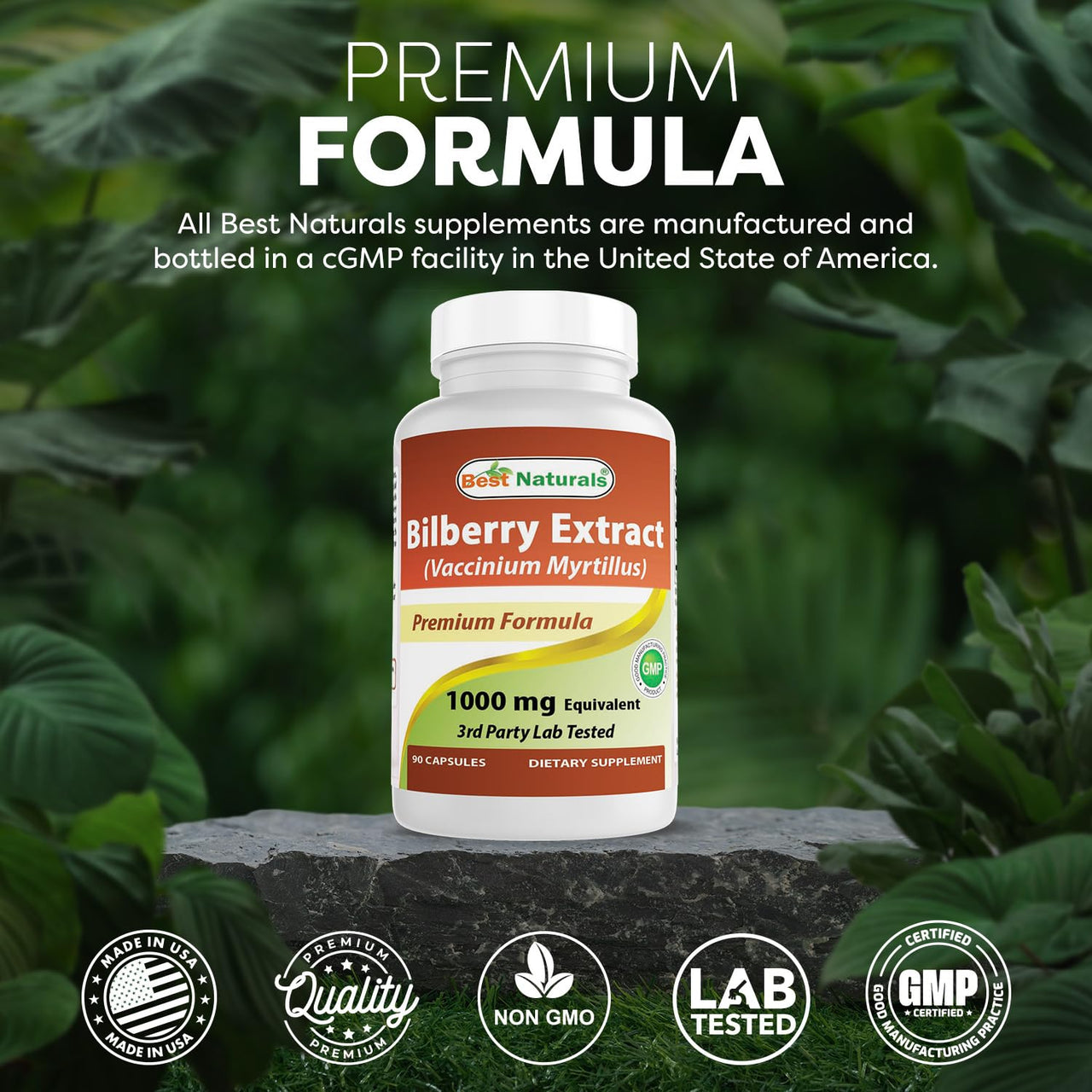 Best Naturals Bilberry Extract 1000mg Capsule (Non-GMO) Supports Healthy Vision, 90 Count