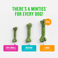 Thumbnail for Minties Dental Chews for Dogs, 40 Count, Vet-Recommended Mint-Flavored Dental Dog Treats for Medium Dogs, Bones Clean Teeth, Fight Bad Breath, and Removes Plaque and Tartar