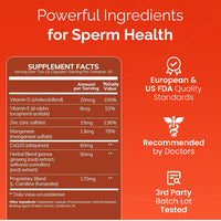 Thumbnail for CONCEIVE PLUS Motility Support for Men | Boost Sperm Volume & Count | Spermidine Supplements with Vitamin D, E, Zinc, Antioxidants – Multivitamin Fertility Supplements for Men, 60 Caps