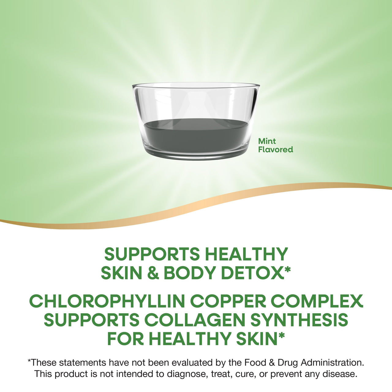 Nature's Way Chlorofresh Liquid Chlorophyll Internal Deodorant 16 fl oz, Mint Flavor (Packaging May Vary)