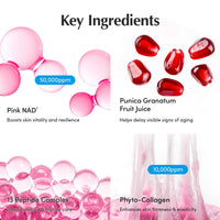 Thumbnail for EQQUALBERRY NAD+ Peptide Boosting Cream – NAD+ 5% & 13 Peptides Anti-Aging Korean Skincare Face & Body Cream | Firming & Lifting Pink Neck Cream for Sagging Skin (1.69 fl.oz / 50ml)