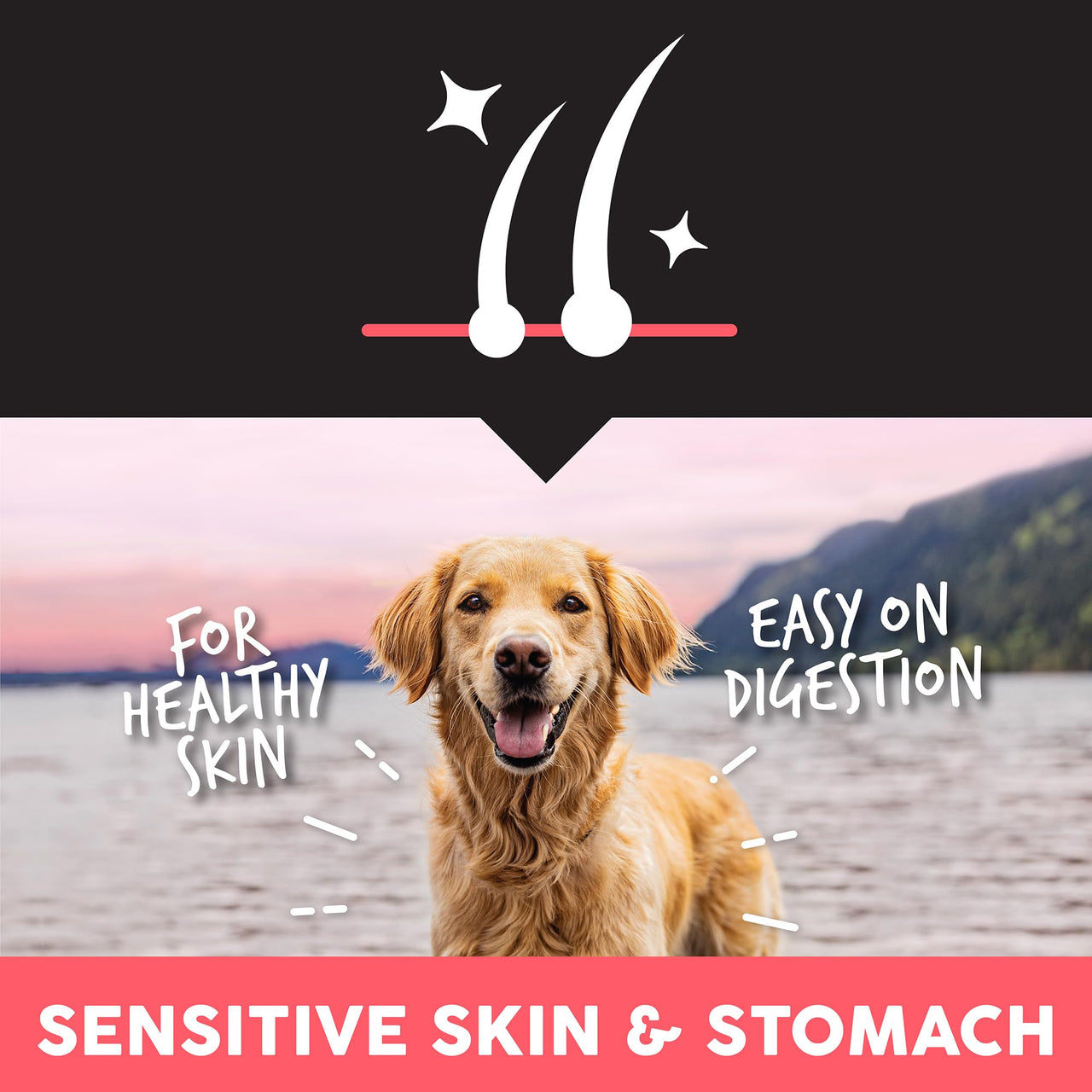 Ultimates Sensitive with Salmon Protein Dry Dog Food 5 lb