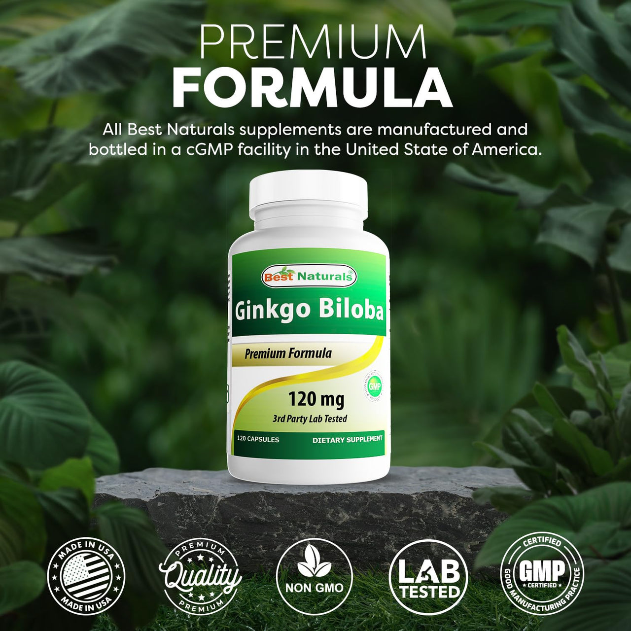 Best Naturals Ginkgo Biloba 120 mg 120 Capsules