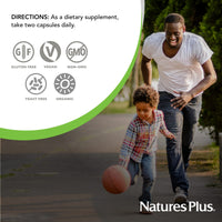 Thumbnail for NaturesPlus Source of Life Garden B-Complex - 60 Capsules - Complete Vitamin B Supplement - USDA Organic, Non-GMO, Vegan, Gluten Free - 30 Servings