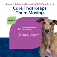 Thumbnail for NaturVet Hemp Aches & Discomfort Plus Hemp Seed for Dogs, 60 ct Soft Chews, Made in The USA