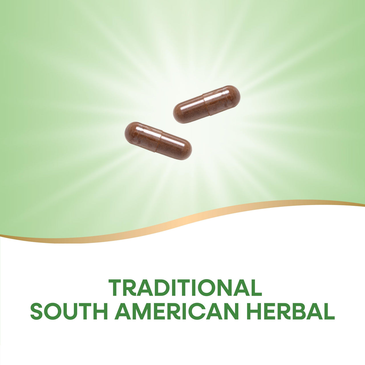 Nature's Way PAU d'Arco Inner Bark, Traditional South American Herb, 2,180 mg per 4-Capsule Serving, Non-GMO Project Verified, 100 Capsules (Packaging May Vary)
