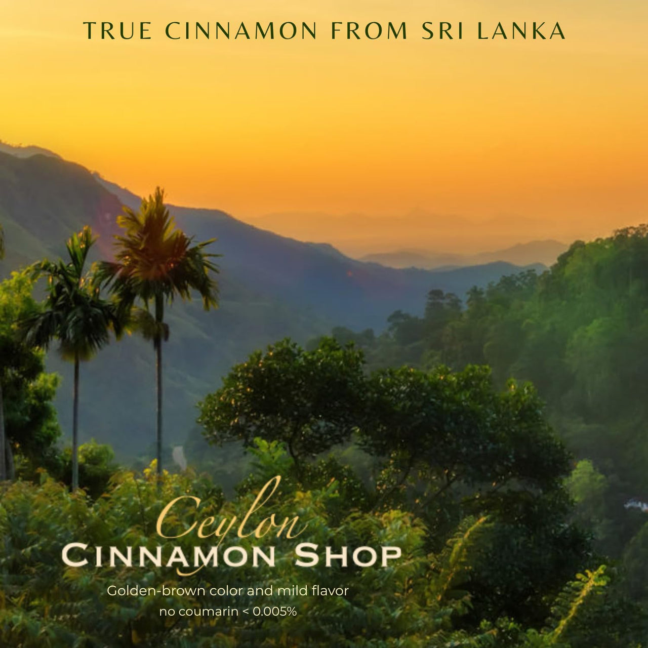 Ceylon Cinnamon Shop CinnaGold™ Organic Ceylon Cinnamon (100% Certified) Supplement, High-Potency Liquid Extract, 4 oz. – Super Antioxidant