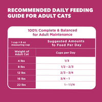 Thumbnail for IAMS Proactive Health Dry Cat Food, Urinary Tract Health, Adult Cat Food Dry Recipe with Chicken, 3.5 lb. Bag
