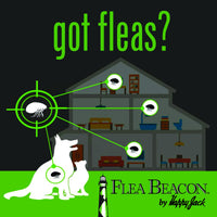Thumbnail for Happy Jack Flea Beacon Kill Fleas in House, Attracts, Traps Indoor Bugs, Breaks Breeding Cycle Before Adults Lay Eggs, Safe, Fast, & Clean Way to Get Rid of Indoor Pests, Made in USA