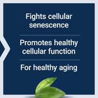 Thumbnail for Life Extension GEROPROTECT® Ageless Cell™, Cellular Health, Healthy Aging, Vitamin E, N-Acetyl-L-cysteine, Green Tea Extract, myricetin, Gluten Free, Non-GMO, 30 softgels