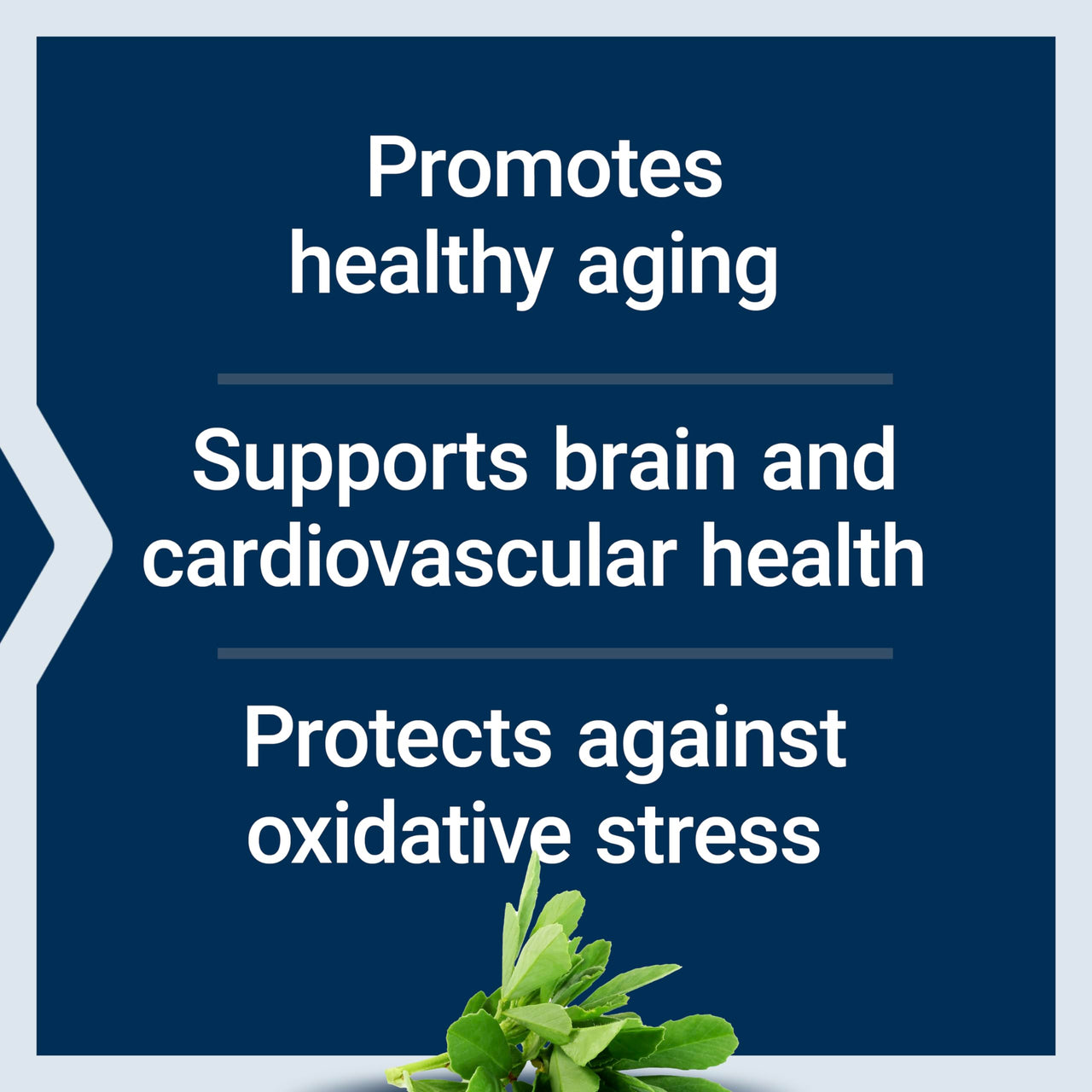 Life Extension Resveratrol Elite, Trans-resveratrol, Healthy Aging, Cardiovascular Health, Brain Health, oxidative Stress, Gluten-Free, Non-GMO, Vegetarian, 30 Capsules