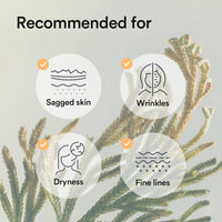 Thumbnail for Abib Collagen Gel Mask Jericho Rose Jelly 10 Sheets (Nourishing) I Korean Vegan Collagen, Cooling Nourishing Hyaluronic Acid Hydrogel Face Mask Skin Care