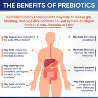 Thumbnail for Wholesome Wellness Organic Raw Probiotics 100 Billion CFU, Dr Formulated for Women and Men, Complete Adult Supplement with Prebiotics and Digestive Enzymes; 30 Capsules, Shelf Stable