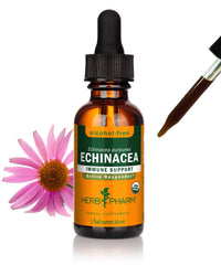 Thumbnail for Herb Pharm Organic Echinacea Root Extract, Alcohol-Free: Immune System Support for All Seasons, Fast-Acting Echinacea Plant Supplement, Non-GMO, Vegan & Gluten-Free, 1 Oz