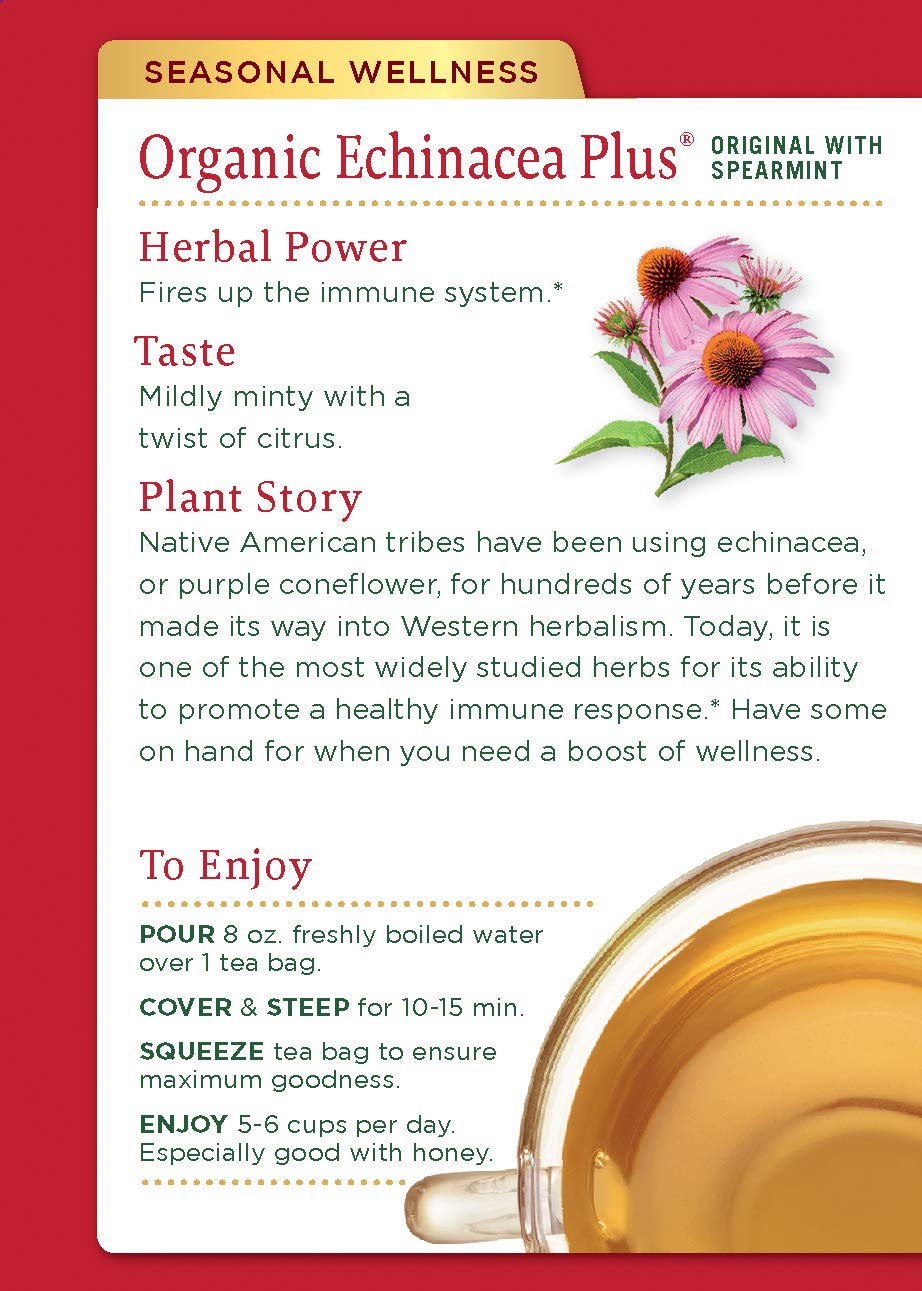 Traditional Medicinals Organic Echinacea Plus Seasonal Tea (Pack of 1), Promotes Immune Function, 16 Tea Bags