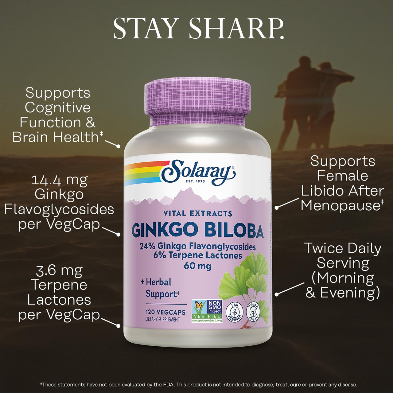 SOLARAY Ginkgo Biloba Extract, Vital Extracts - Brain Supplement - Ginkgo Biloba Capsules for Brain Health and Female Libido Support - Non GMO, Vegan, Gluten Free, 60-Day Guarantee - 120 Servings