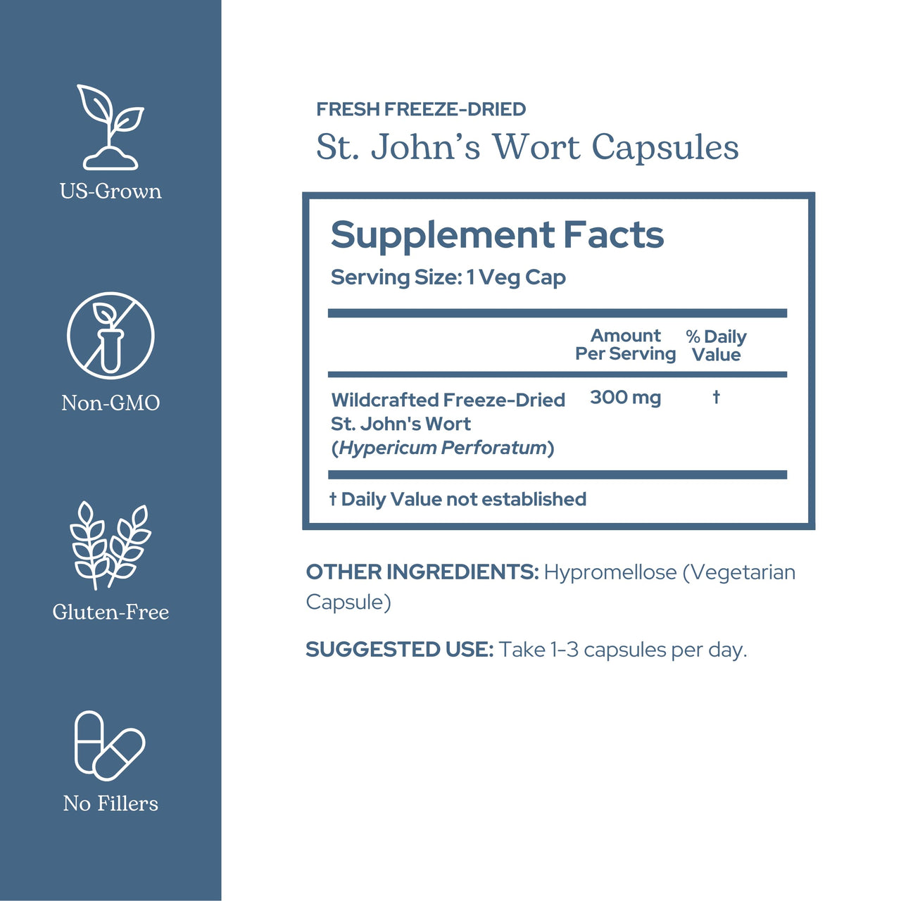 Eclectic Herb - St. John's Wort Capsules | Nervous System & Immune Support | Promotes a Positive Mood | Vegan, Non-GMO, Gluten Free, Freeze-Dried (90 CT | 300 mg)