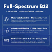 Thumbnail for BioActive Vitamin B Complex - Blood Stream Ready, Methylated B Complex - Featuring Methylfolate, 3 BioActive Forms of B12, BenfoPure® B1 & Pantesin® B5 - 12 B Vitamins in Clinical Doses - 60 Servings