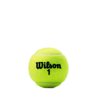 Thumbnail for WILSON Championship Tennis Balls - Regular Duty, Single Can (3 Balls)