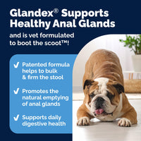Thumbnail for Vetnique Glandex Anal Gland Soft Chew Treats with Pumpkin for Dogs Digestive Enzymes, Probiotics Fiber Supplement for Dogs Boot The Scoot (Peanut Butter Chews, 120 Count)