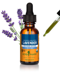 Thumbnail for Herb Pharm Certified Organic Lavender Flower Liquid Extract for Calming Nervous System Support, 1 Fl Oz