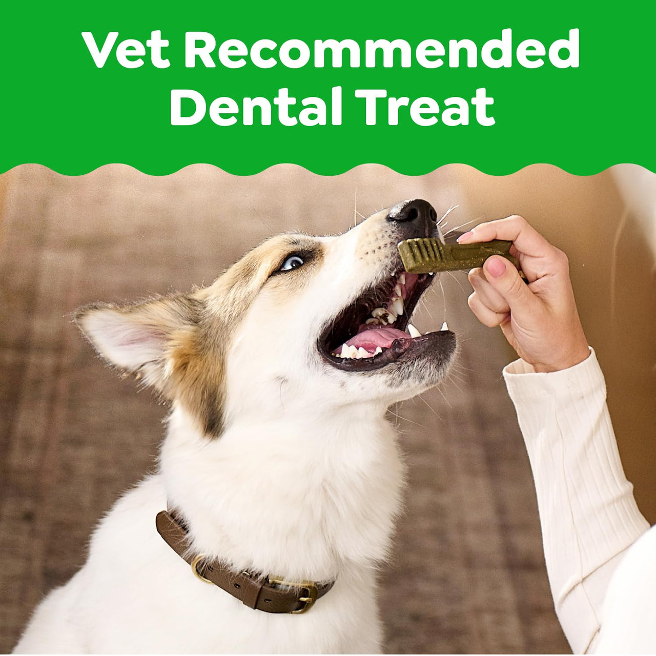 Greenies Veterinarian-Recommended Natural Dental Dog Treats, Large Size, Original Flavor, 36 oz. Pack, 24 Count