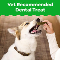 Thumbnail for Greenies Veterinarian-Recommended Natural Dental Dog Treats, Large Size, Original Flavor, 36 oz. Pack, 24 Count