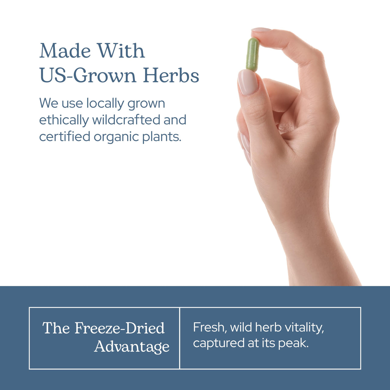 Eclectic Herb - Lymph & Blood Cleanse | Lymphatic & Circulatory Support | Freeze Dried, Concentrated Herbal Supplement | Natural, Wildcrafted, Non-GMO, Gluten Free, Vegan (45 CT | 285 mg)