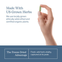 Thumbnail for Eclectic Herb - Lymph & Blood Cleanse | Lymphatic & Circulatory Support | Freeze Dried, Concentrated Herbal Supplement | Natural, Wildcrafted, Non-GMO, Gluten Free, Vegan (45 CT | 285 mg)