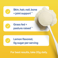 Thumbnail for Vital Proteins Collagen Peptides Powder, Collagen Supplements, Hair & Skin Health, 14 Servings, Lemon