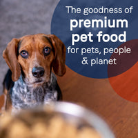 Thumbnail for Canidae Pure Limited Ingredient Premium Adult Wet Dog Food, Duck & Turkey Recipe, 13 oz. (Case of 12), Grain Free
