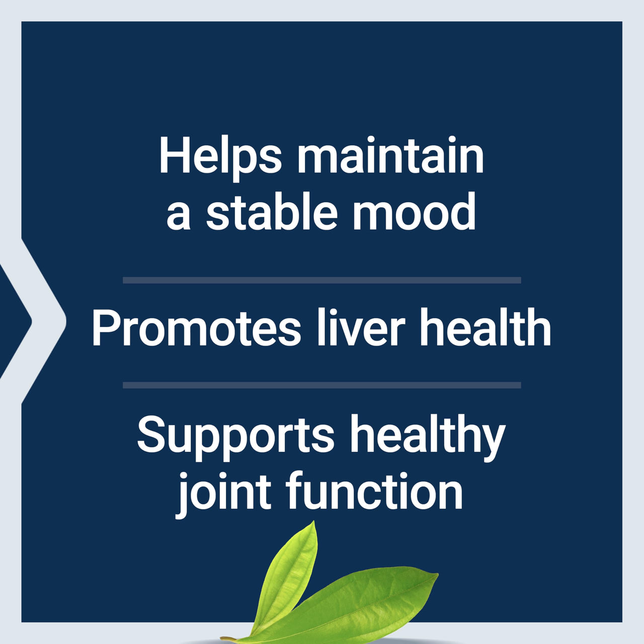 Life Extension Same, Mood, Joint & Liver Support, Gluten-Free, Non-GMO, Vegetarian, 30 Tablets