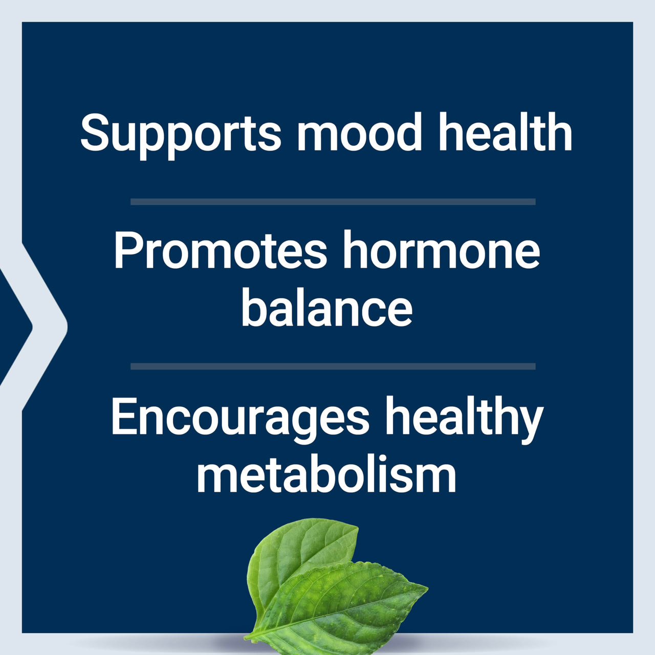 Life Extension Inositol Caps – 1000 mg, Myo-Inositol – Mood Health, Well-Being, Healthy Metabolism, Hormone Balance – Gluten-Free, Non-GMO, Vegetarian – 360 Capsules