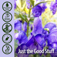 Thumbnail for Nature's Answer Alcohol-Free Skullcap Herb, 1-Fluid Ounce