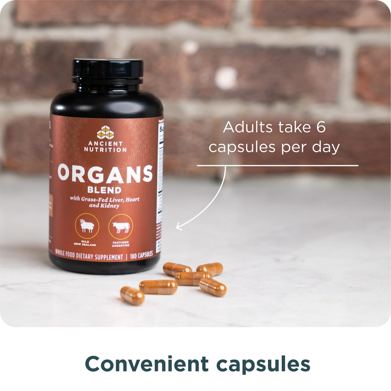 Ancient Nutrition Organ Supplements, Grass-Fed and Wild Organ Complex Capsules, Liver, Heart, Kidney Supports Organ, Cognitive, and Immune System Health, 180 Ct