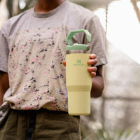 Thumbnail for Stanley IceFlow Flip Straw Tumbler with Handle 30 oz | Twist On Lid and Flip Up Straw | Leak Resistant Water Bottle | Insulated Stainless Steel |BPA-Free | Citron